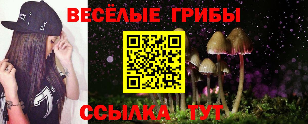 Ковров  Галлюциногенные грибы Cubensis  Вход с VPN 