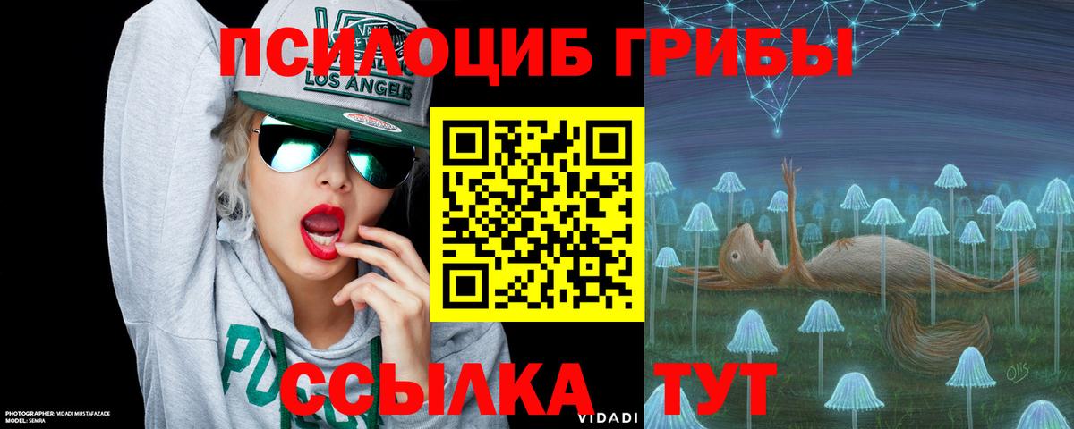 Галлюциногенные грибы Cubensis Ковров